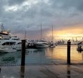 The Cobaltquay