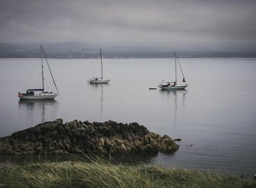 The Cobaltquay